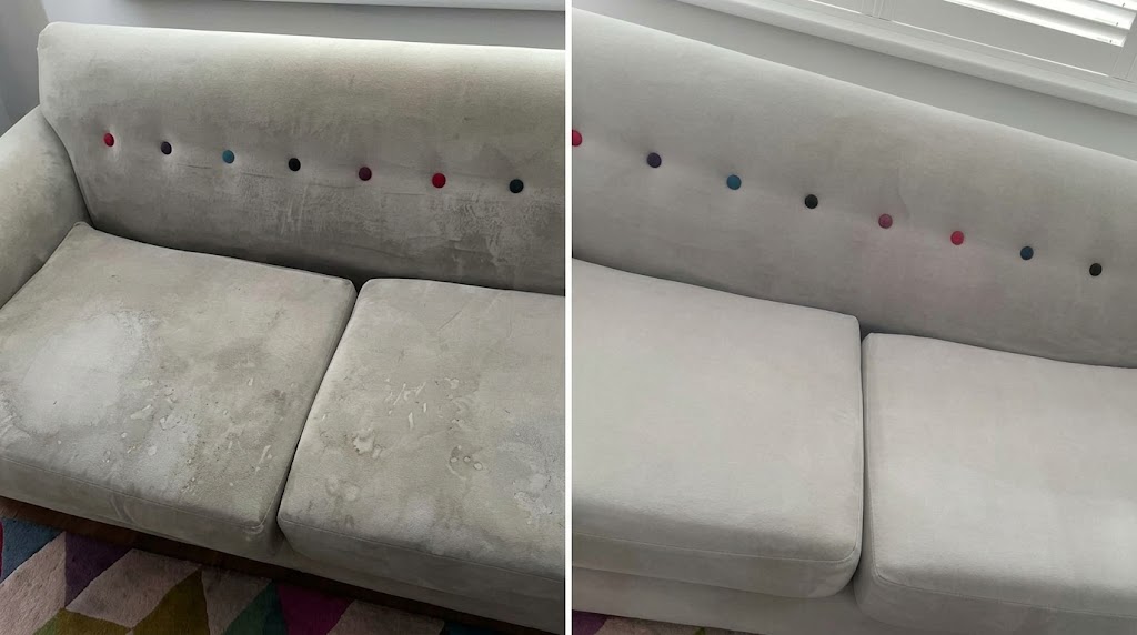 Pet Stain Couch Treatment
